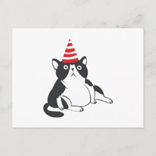 Partykatze - Hintergrundfarbe wählen Postkarte