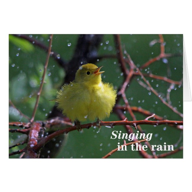 Paruline (Devant horizontal)