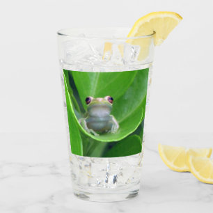 Paruline à grenouille verte / Verre de cisaillemen