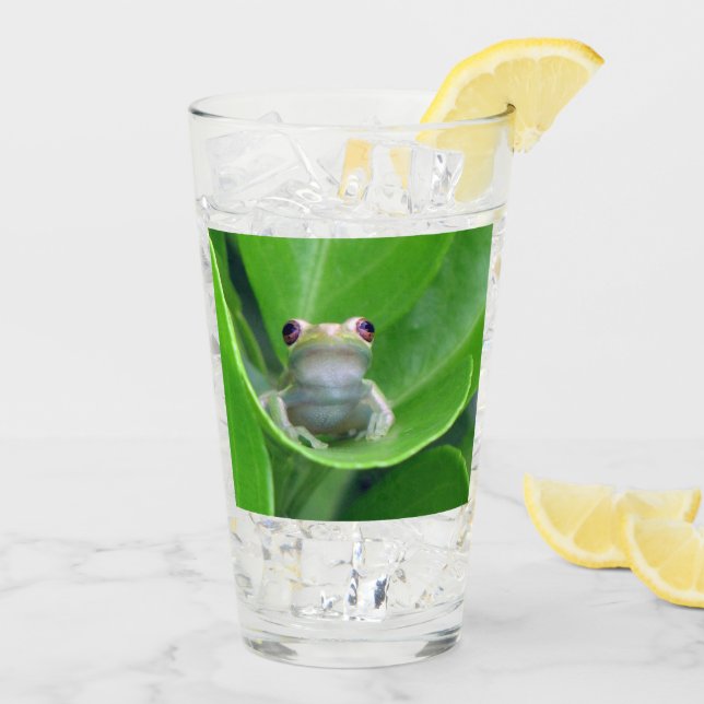 Paruline à grenouille verte / Verre de cisaillemen (Dos glace)