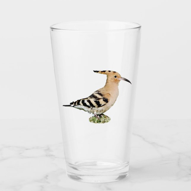 Paruline à lunettes de verre (Devant)