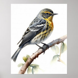 Paruline à ornithologie rayée jaune Affiche