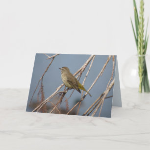 Paruline de palme - Carte de voeux pour oiseaux Ja