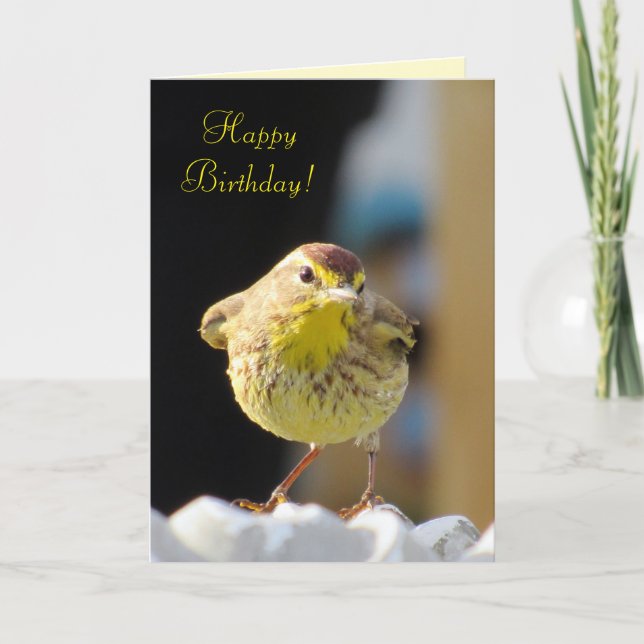Paruline de palme - Jardin Bird Series Carte d'ann (Devant)