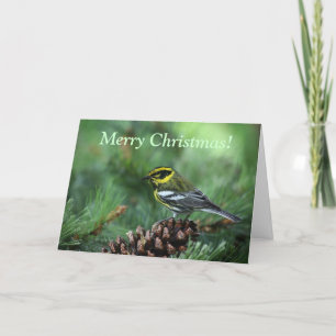 Paruline en hiver mettant une carte de Noël