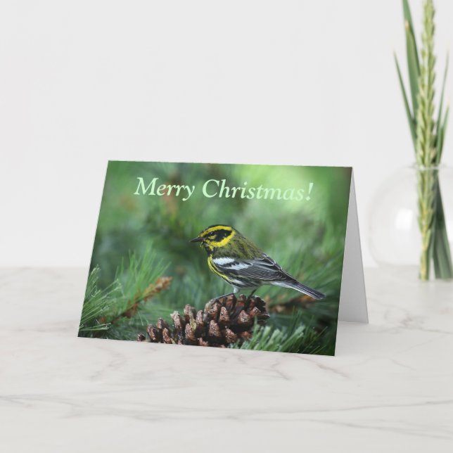 Paruline en hiver mettant une carte de Noël (Devant)