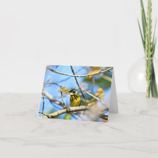 Paruline Magnolia - Carte de note blanche