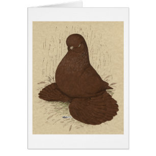 Paruline : Rouge muffé