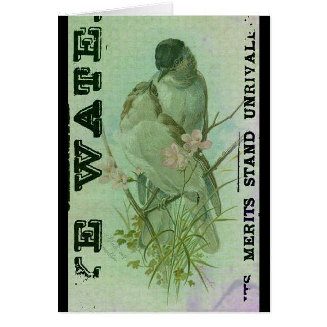 Paruline Vintage (Devant)