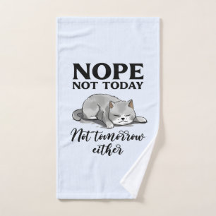 Pas aujourd'hui, pas demain - Chat endormi