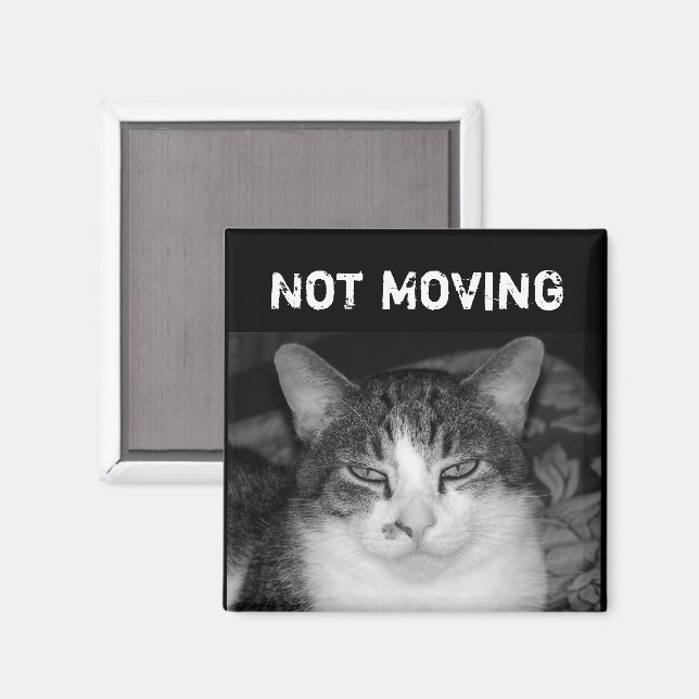 "Pas bouger" Crabby Magnet de chat (Recto/Verso)