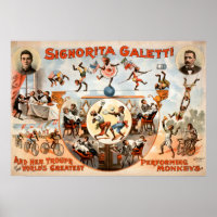 Pas mes singes, pas mon Poster vintage de cirque