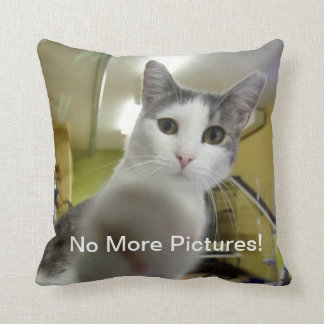 Pas plus de coussin de chat d'images
