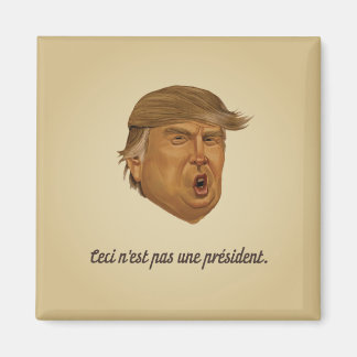 Pas un aimant de président