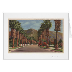 Pasadena, CA - Residental Straßen-Szene u. Palmen