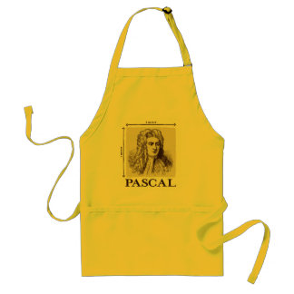 Pascal = 1 Newton pro Quadratmetermathewitz Schürze