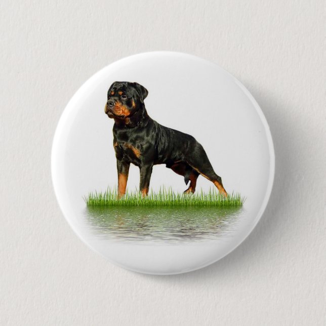 Pasha-Graf Antonius Button (Vorderseite)
