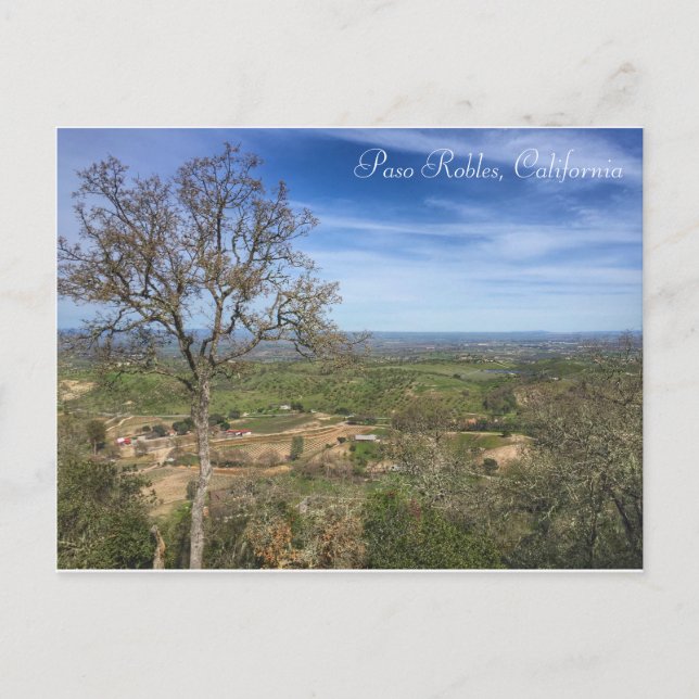 Paso Robles Postcard Postkarte (Vorderseite)