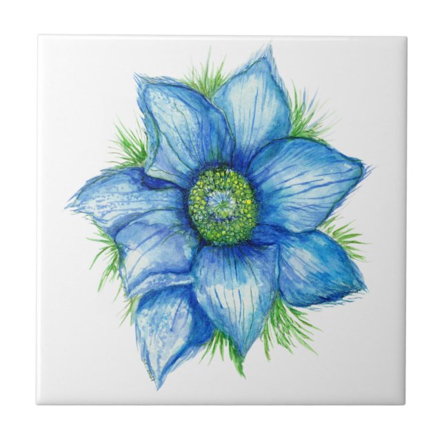 Pasque Blume in Blue Keramik Tile Fliese (Vorderseite)