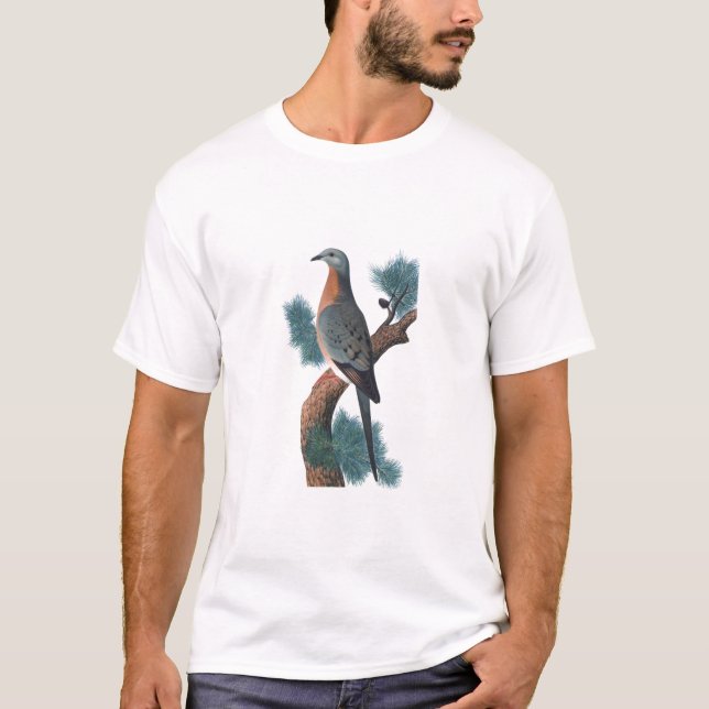 Passagier-Taube - Ectopistes migratorius T-Shirt (Vorderseite)