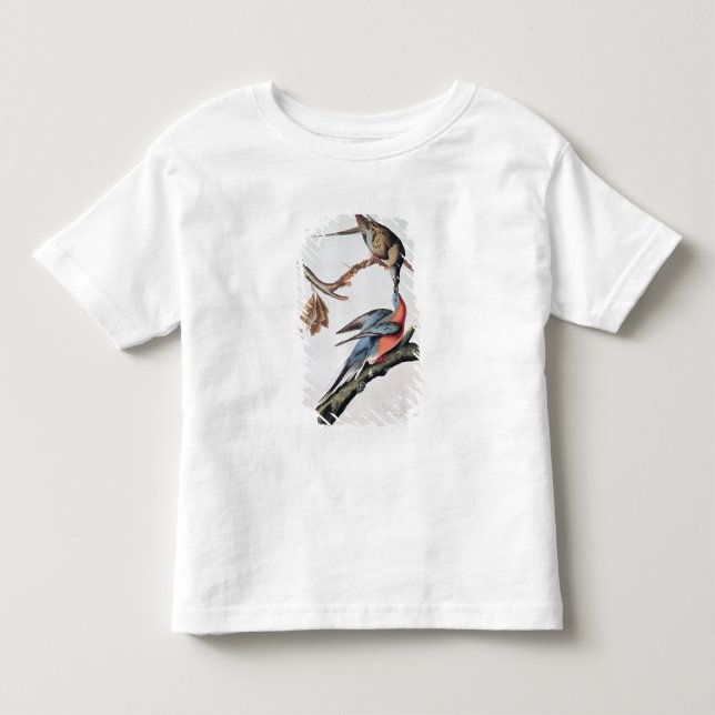 Passagier-Taube, 'von den Vögeln von Amerika Kleinkind T-shirt (Vorderseite)