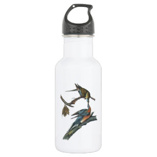 Passagiertaube von Audubon Trinkflasche