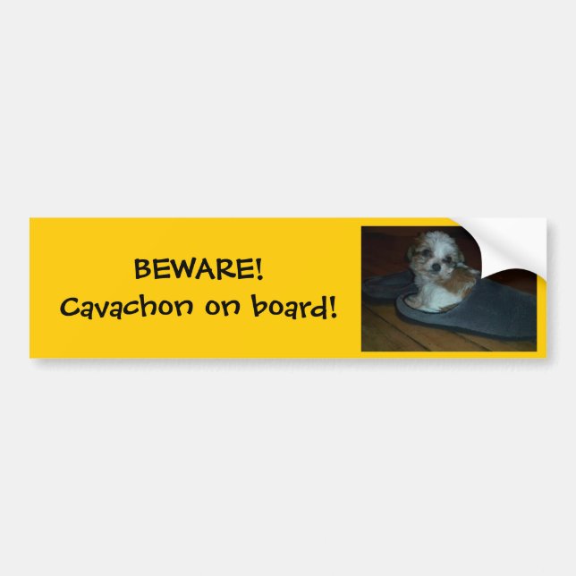 PASSEN Sie auf! Cavachon an Bord! Stoßaufkleber Autoaufkleber (Vorne)