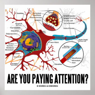 Passen Sie auf? (Neuron/Synapse) Poster