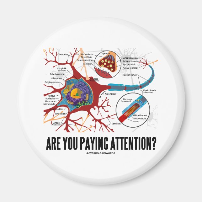 Passen Sie auf? (Neuron Synapse Spaß) Magnet (Vorne)