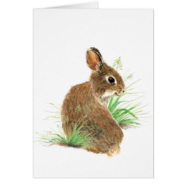 Passen Sie dieses seltsame Kaninchen, Wasserfarben (Vorne)