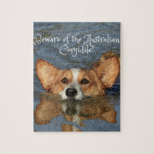 Passen Sie vom australischen Corgidile auf!