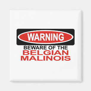 Passen Sie vom Belgier Malinois auf Magnet