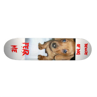 passen Sie vom Hund auf Skateboard