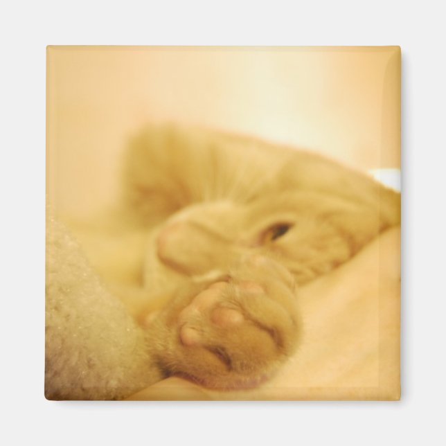 passend magnet (Vorne)