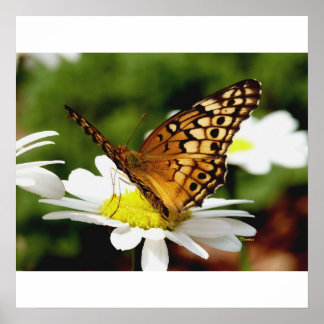 PASSER SUR UNE AFFICHE JOURNALIÈRE