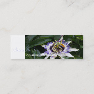 Passiflora 1 Floral Fotografie Mini Business Crad Mini Visitenkarte