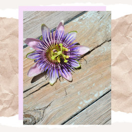 Passiflora Blumenwetterpapier