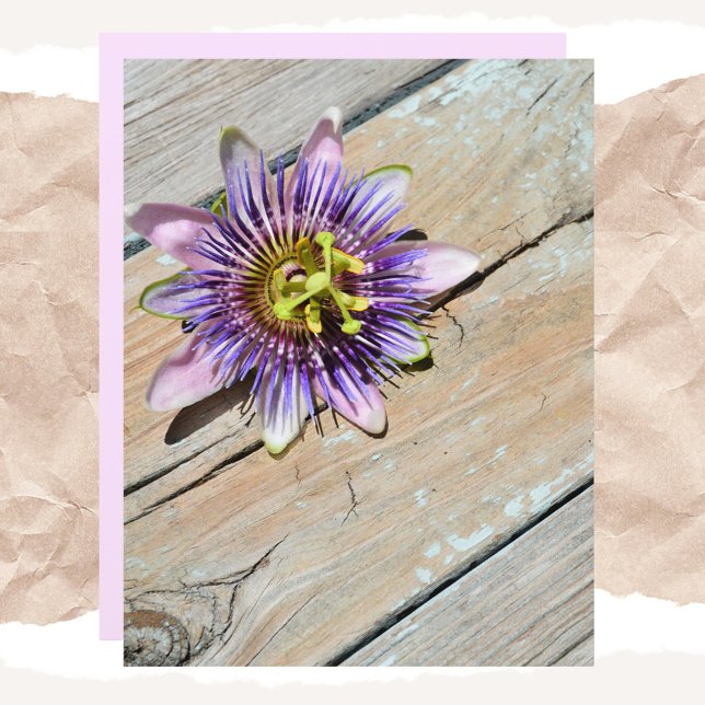 Passiflora Blumenwetterpapier (Von Creator hochgeladen)