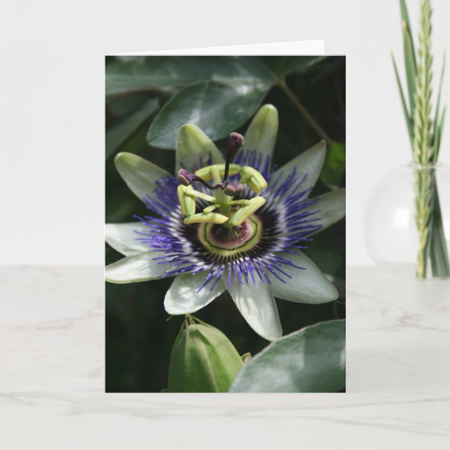 Passiflora - Fleur de la Passion Karte (Vorderseite)