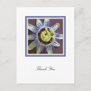Passion Blume Beileid Vielen Dank Postkarte