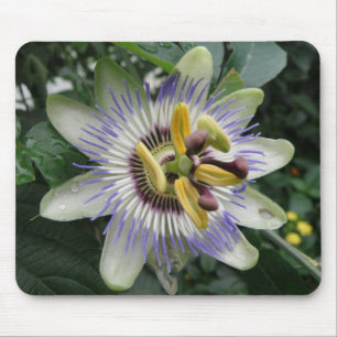 Passion Blume Mousepad