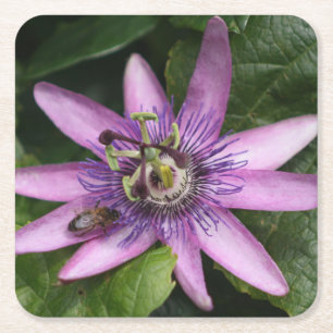 Passion Blume Untersetzer