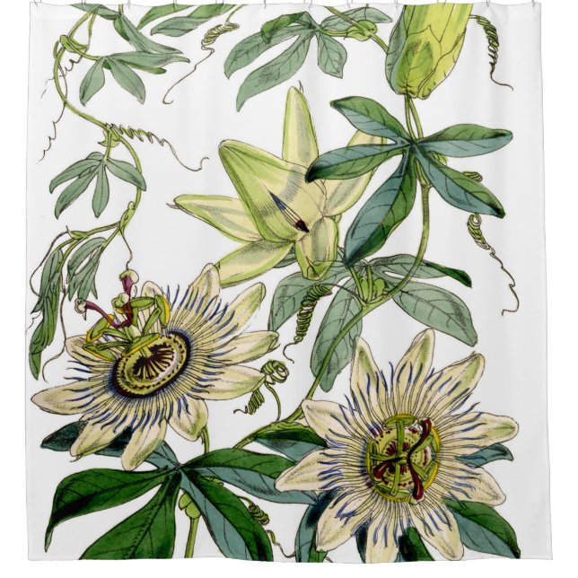 Passion Blume Vintag Print Duschvorhang (Vorderseite)