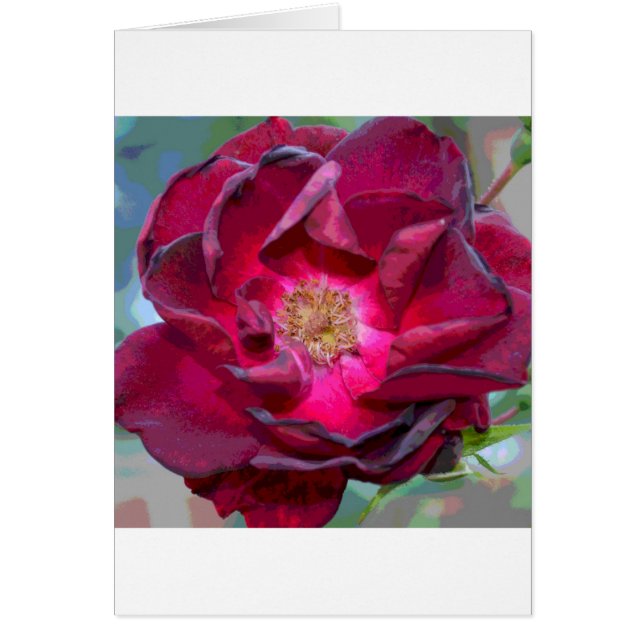 Passion Burgandy Flower (Devant)