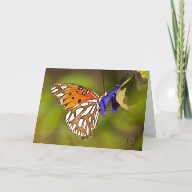 Passion Butterfly Embrace Lee Hiller Fotografie Karte (Vorderseite)