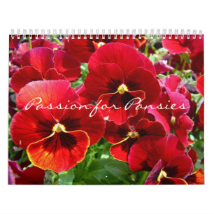 Passion du calendrier pour les panneaux