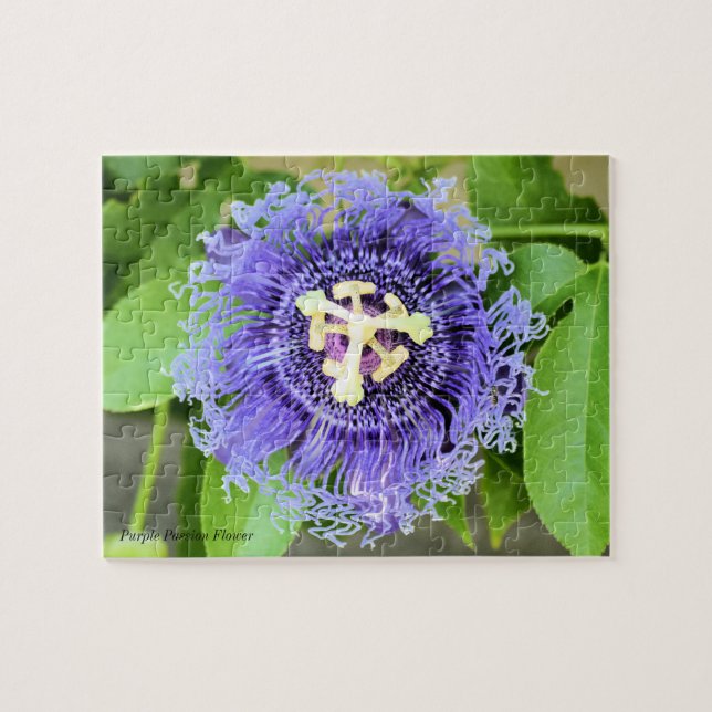 Passion Fleur Jigsaw Puzzle Jeu (Horizontal)