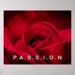 Passion Rote Rose Poster