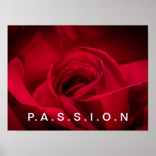 Passion Rote Rose Poster