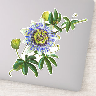 Passionflower aux herbes Sticker en vinyle